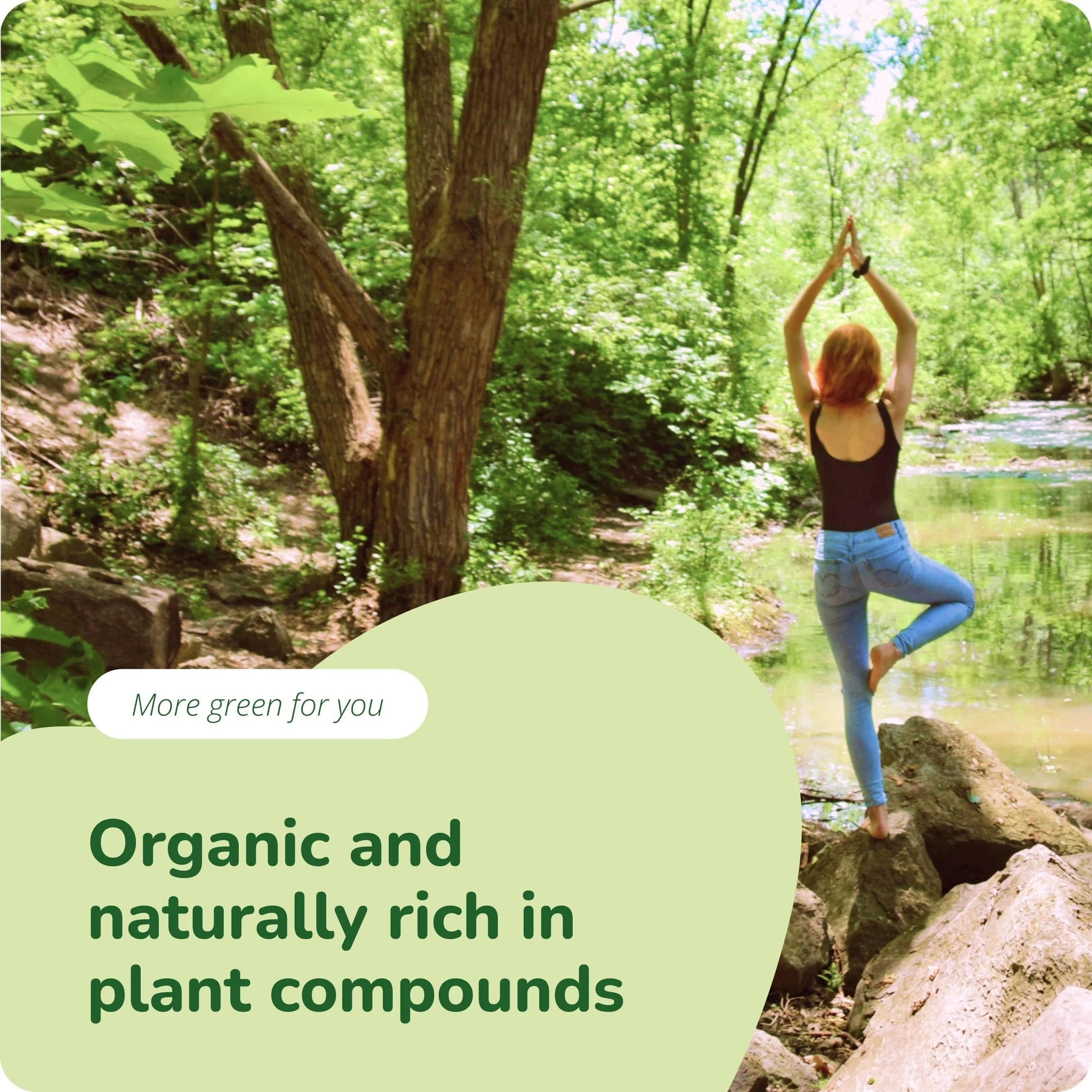 Moringa Oleifera Capsule Bio