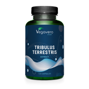 Tribulus Terrestris Extract Capsules