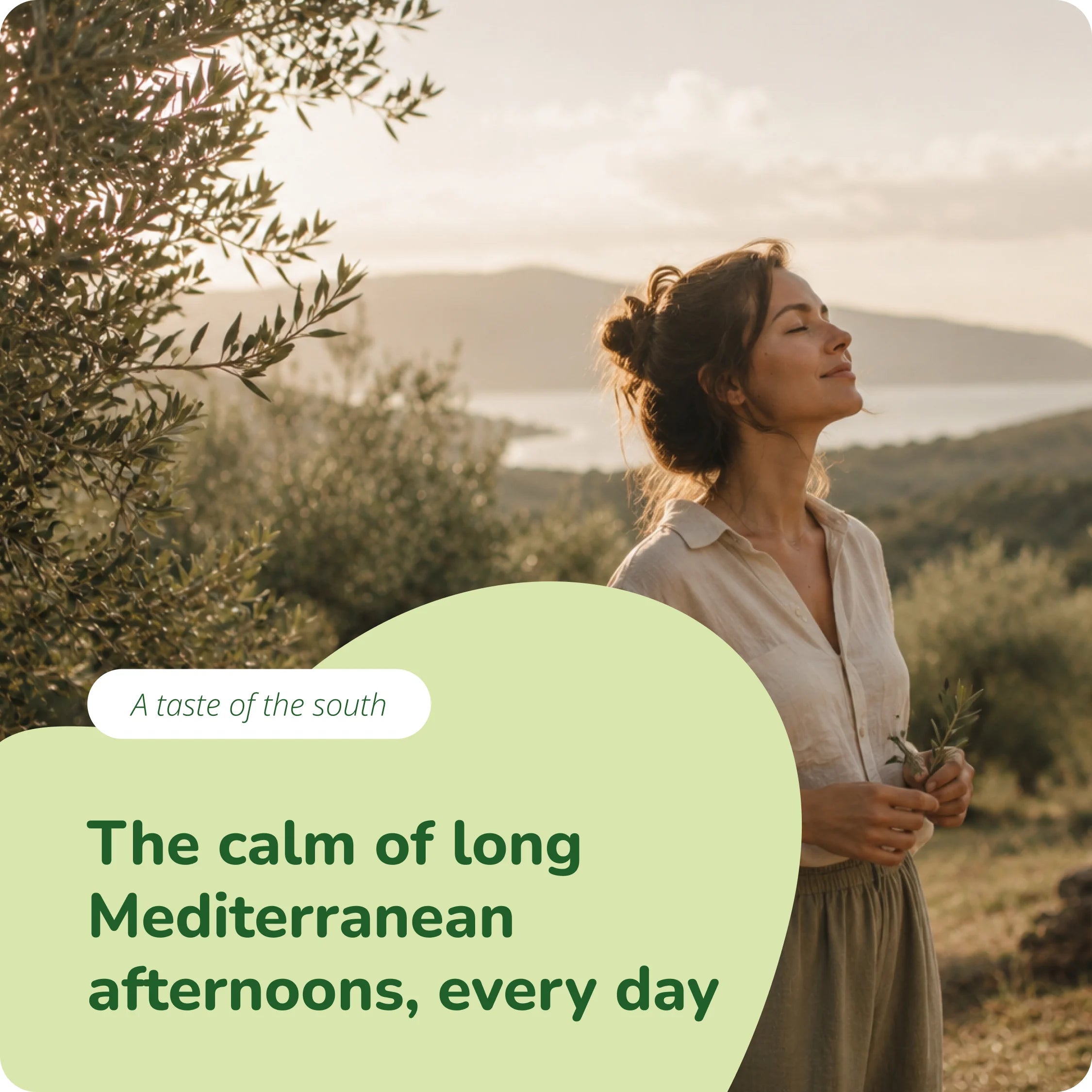 Olive Leaf Extract Capsules