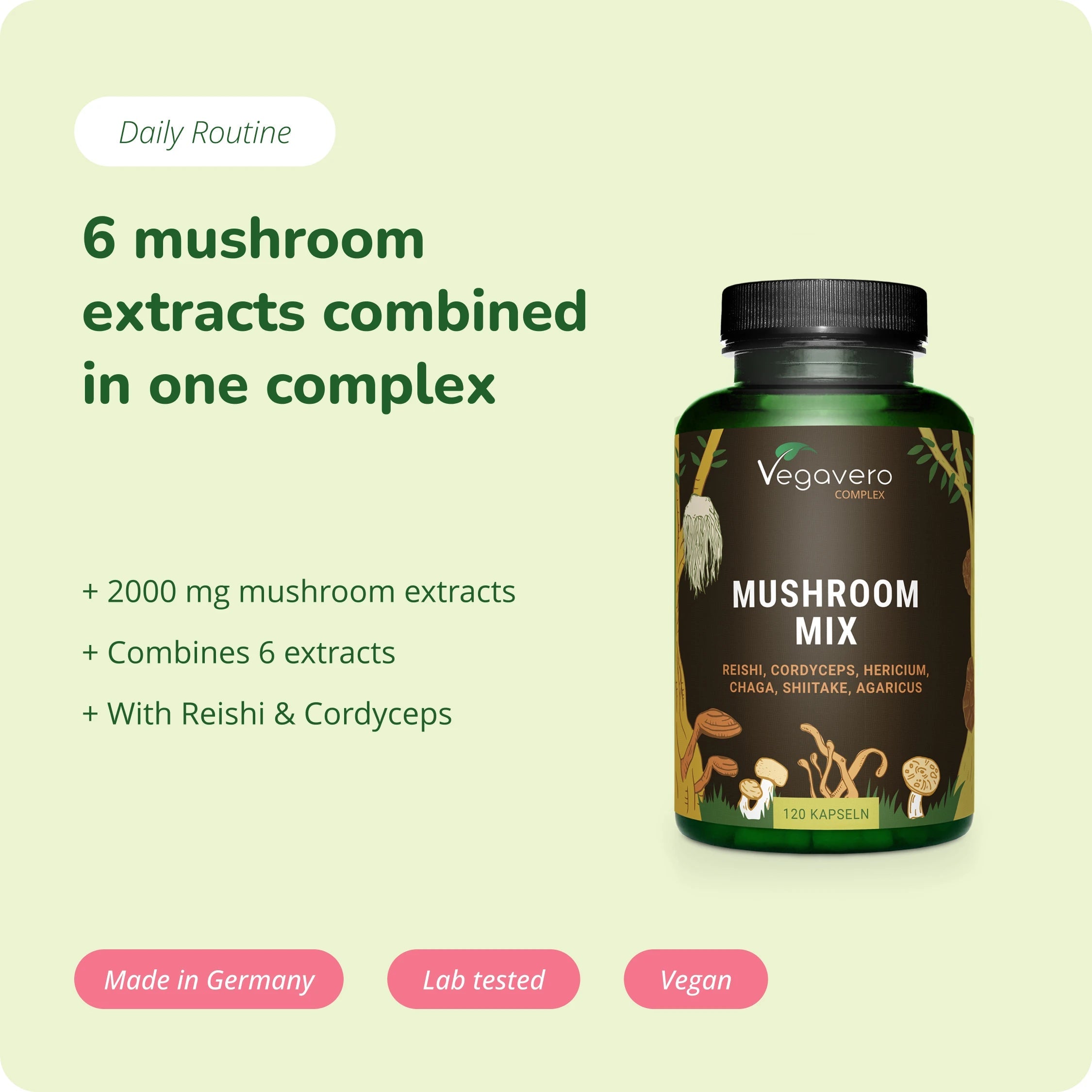 Mushroom Mix Complex Capsule