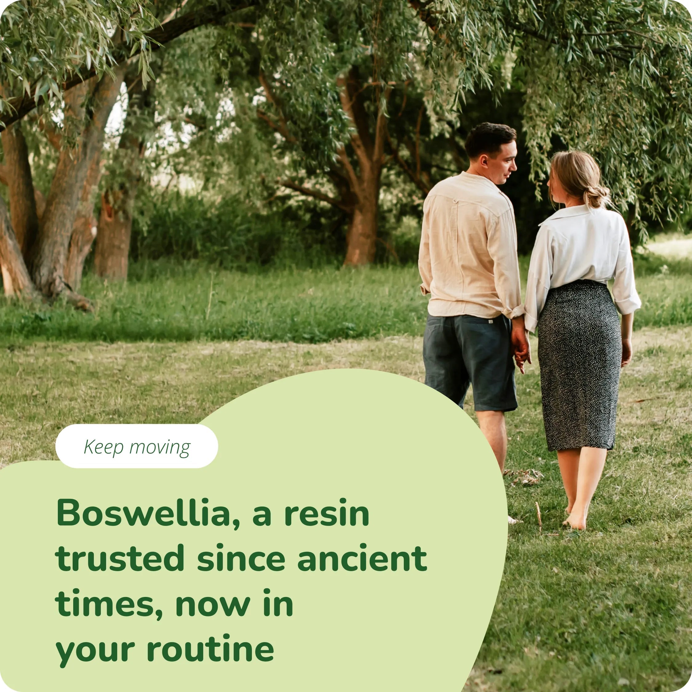 Boswellia Extract Capsules