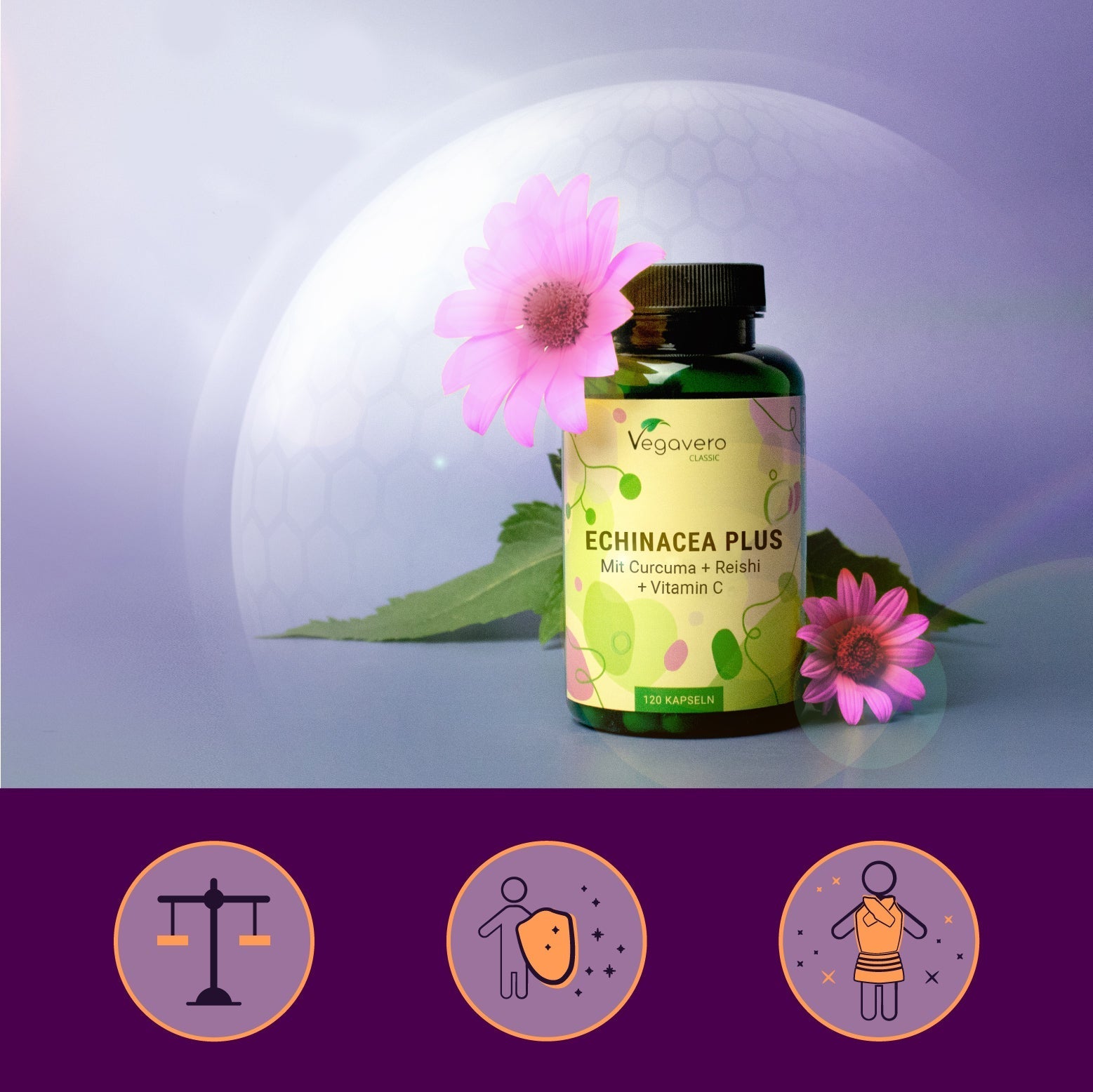 Echinacea Plus Capsules