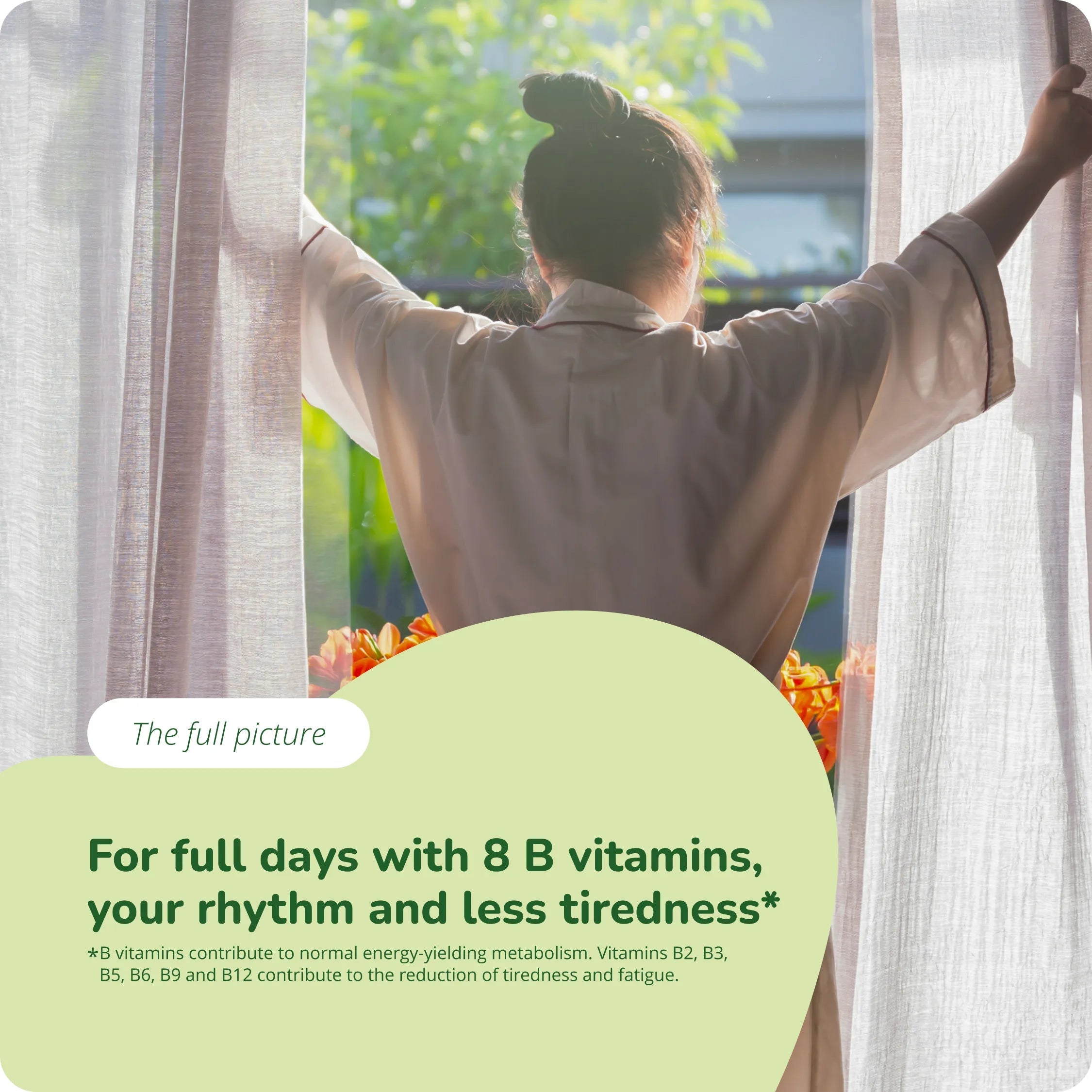 Vitamina B Plus Comprimidos