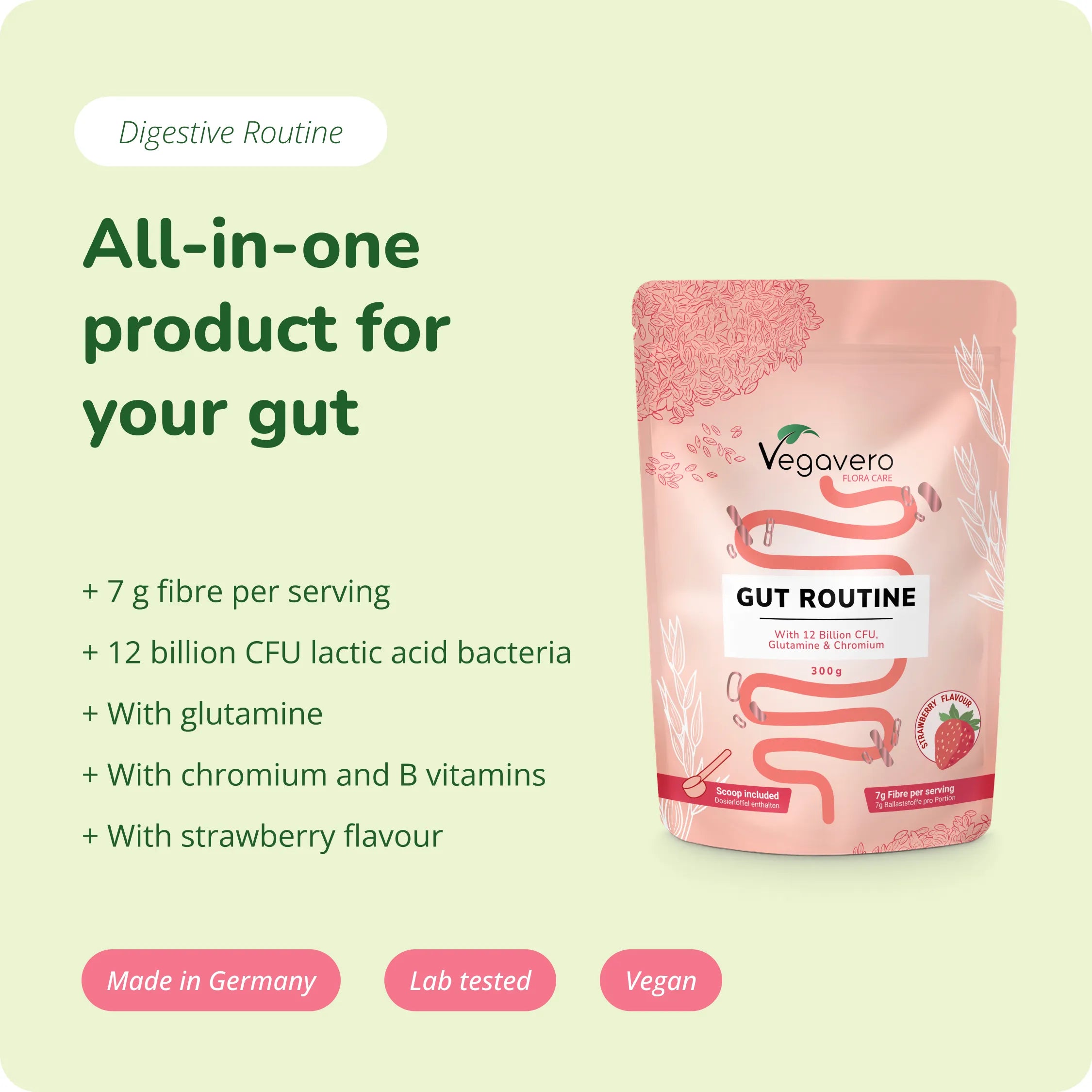 Gut Routine en Poudre